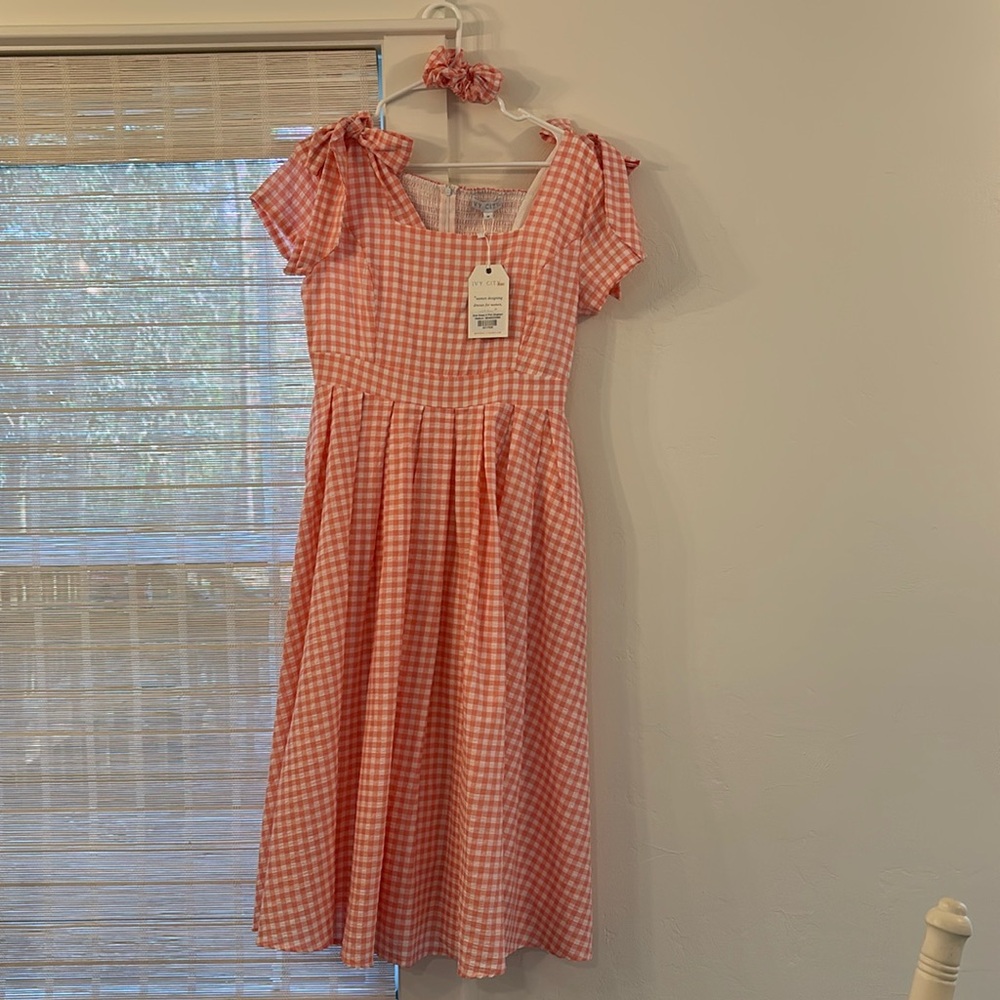 Ivy City Co Briar Dress in Pink Gingham